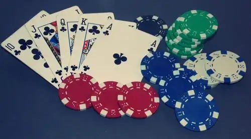 Myanmar ကစားသမားများ Online Bingo တွင် Bingo Card စစ်ဆေးနေသည့် မြင်ကွင်း